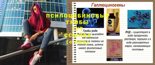 mdpv Алзамай