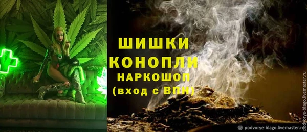 шишки Алексин